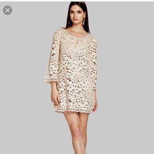 Bcbgmaxazria Tianya crochet dress